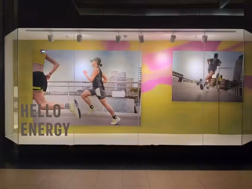 adidas Store Tucuman, Portal