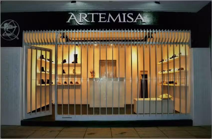 Artemisa shoes