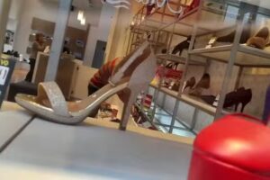 Batistella Calzados y accesorios