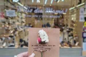 Bendito Infierno y Tila Blanca