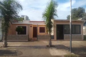 Calzado e indumentaria stitch