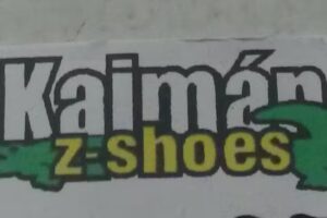 Calzado Z Shoes