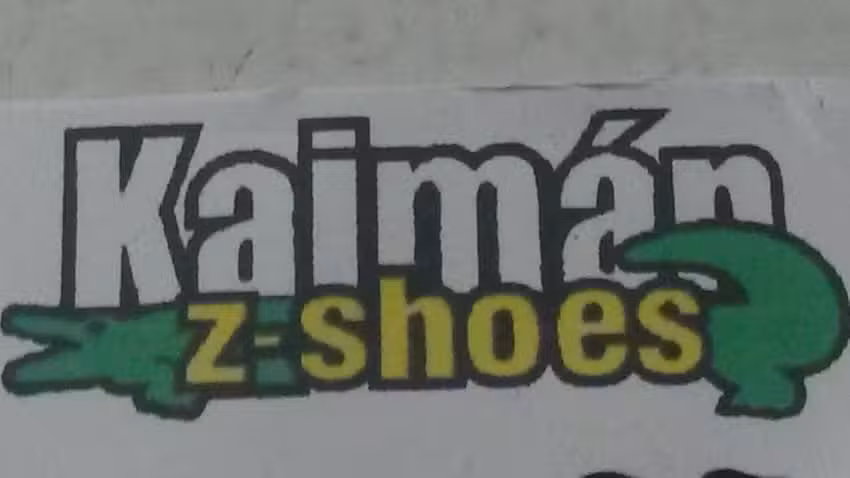Calzado Z Shoes