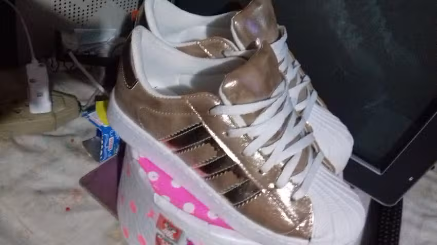 Camila Fashion Shoes