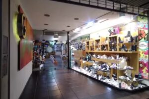 Cielo Girasoles Calzados