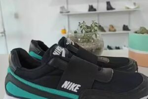 Familia Nu&ntilde;ez