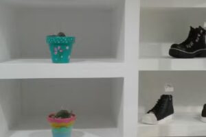 Los Zapatos de Isabela