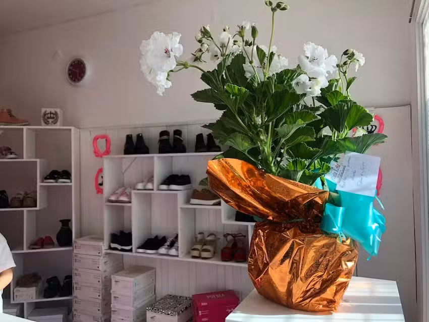 Mar&iacute;a Magdalena