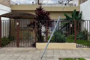 Mucho Filo Carteras Y Zapatos