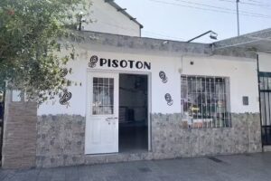 Pisoton 2