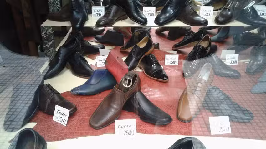 Zapater&iacute;a Silvia