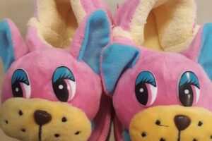 Zapatiller&iacute;a &ldquo;Carlitos&rdquo;