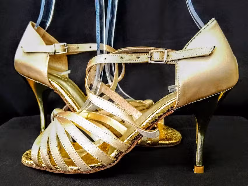 zapatitos de raso